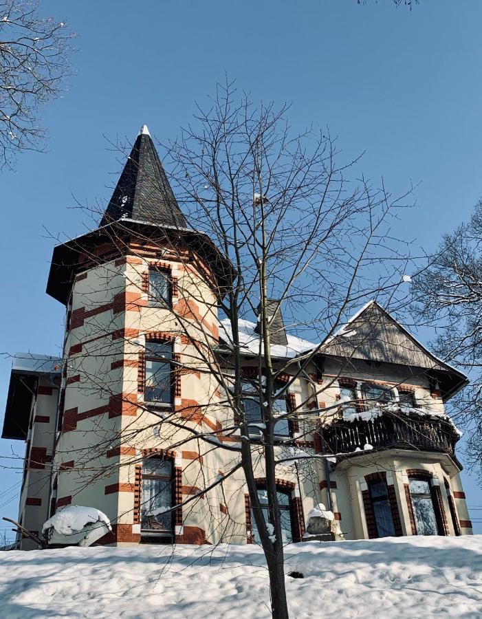 Turmvilla Vogtland Oelsnitz  外观 照片
