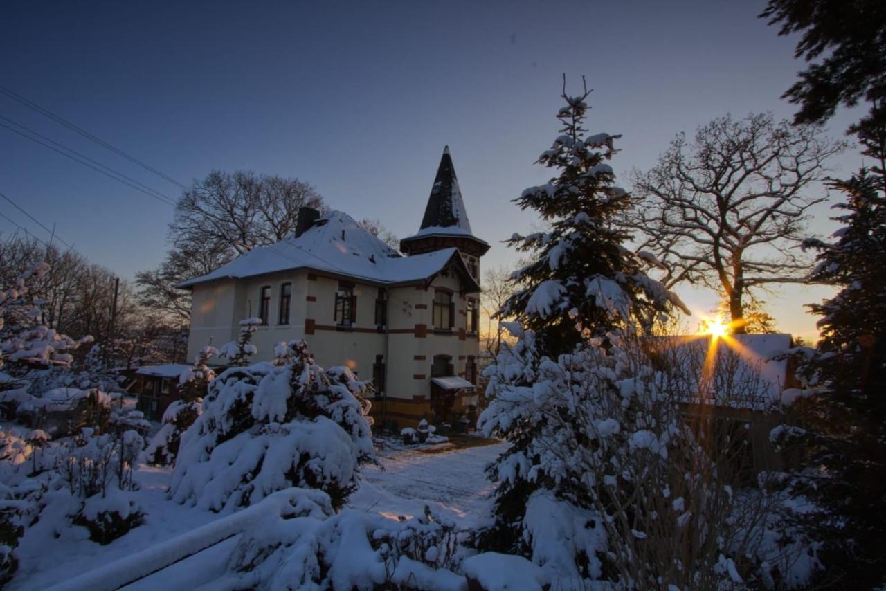 Turmvilla Vogtland Oelsnitz  外观 照片